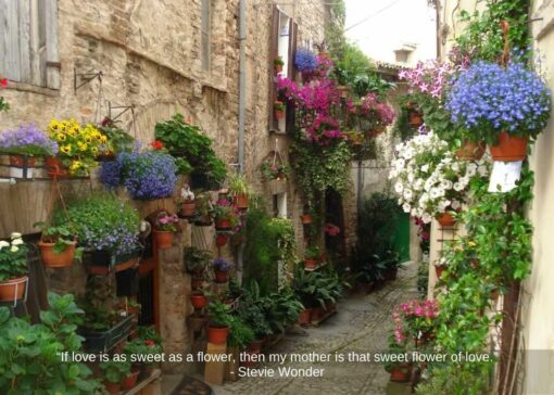 Flower Alley in Spello Italy